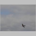 Flugtag _Lehrte_2010_206.jpg